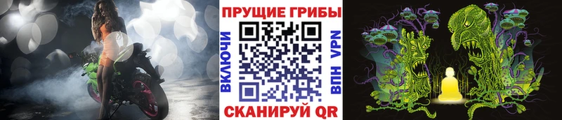 Купить закладки  Липки  Галлюциногенные грибы Cubensis 